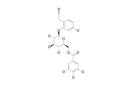 2-(2,4-DIHYDROXYPHENYL)-ACETONITRILE-2-O-BETA-D-GLUCOPYRANOSIDE-6'-O-GALLATE