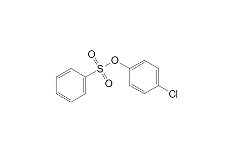 benzenesulfonic acid, p-chlorophenyl ester