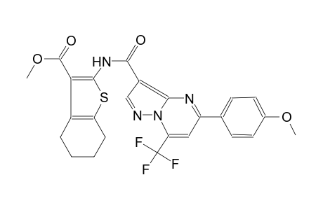 methyl 2-({[5-(4-methoxyphenyl)-7-(trifluoromethyl)pyrazolo[1,5-a]pyrimidin-3-yl]carbonyl}amino)-4,5,6,7-tetrahydro-1-benzothiophene-3-carboxylate