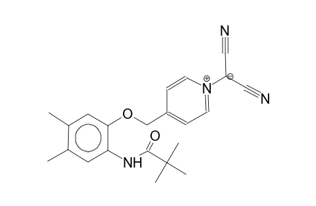 2-[4-(2-pivalamido,4,5-dimethylphenoxymethyl)pyridinium-1-yl]dinitrilomalonate