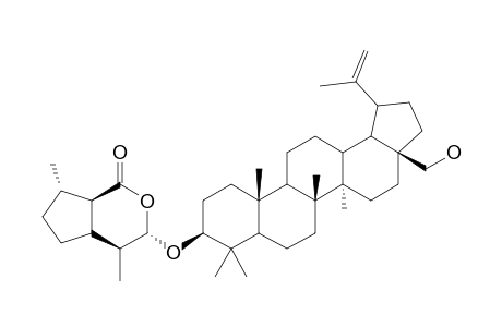 3'.alpha.-[Lup-20(29)-ene-28-ol-3.beta.-oxy]-dihydronepetalactone