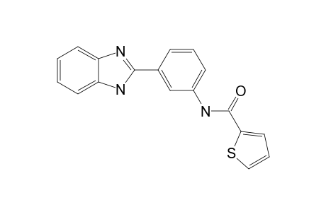 N-[3-(1-H-BENZIMIDAZOL-2-YL)-PHENYL]-THIOPENE-2-CARBOXAMIDE