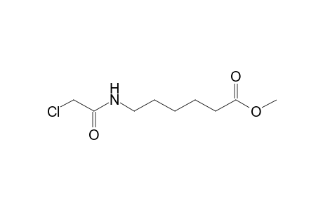 N-Chloroacetyl ?-Aminocaproic Acid Methyl Ester