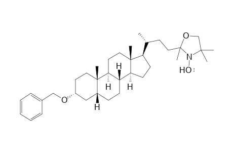 2'-(3.alpha.-Benzyloxy-24-norcholan-23-yl)-2',4',4'-trimethyl-4',5'-dihydrooxazoline-N-oxyl