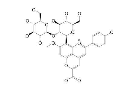 8-O-SOPHOROSYL-3-DEOXY-5-CARBOXYPYRANO-7-O-METHYL-APIGENINIDIN