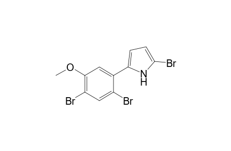5-Bromo-2-(2',4''-dibromo-5-methoxyphenyl)-1H-pyrrol