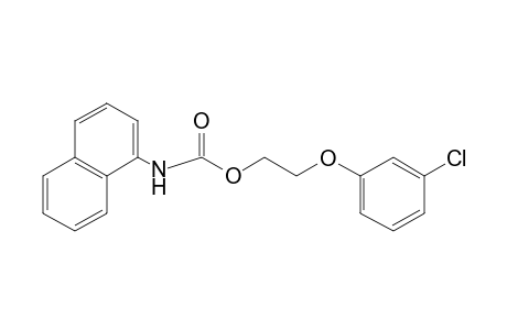 1-NAPHTHALENECARBAMIC ACID, 2-/M- CHLOROPHENOXY/ETHYL ESTER