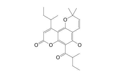 7-HYDROXY-8-(2-METHYL-1-OXOBUTYL)-4-S-BUTYL-6',6'-DIMETHYL-PYRANO-(2',3':5,6)-COUMARIN