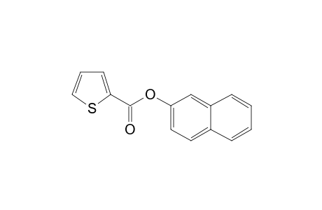 2-Thiophenecarboxylic acid, 2-naphthyl ester
