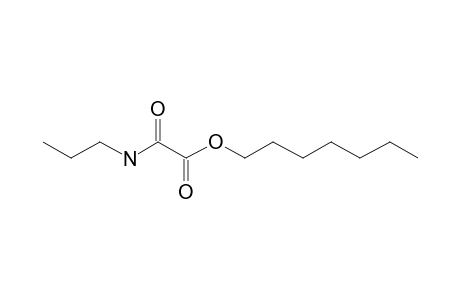 Oxalic acid, monoamide, N-propyl, heptyl ester