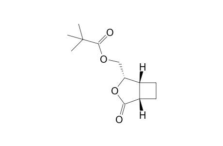 [(1R,2S,5S)-4-oxidanylidene-3-oxabicyclo[3.2.0]heptan-2-yl]methyl 2,2-dimethylpropanoate