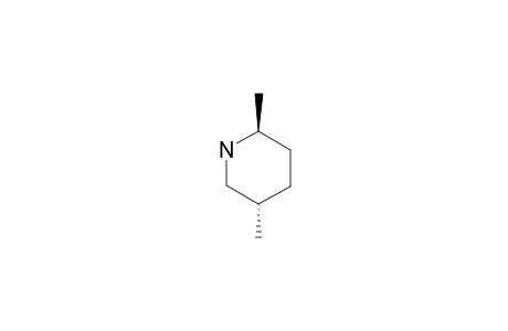 TRANS-2,5-DIMETHYLPIPERIDIN