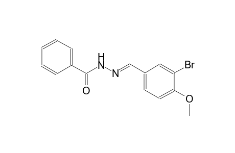 N'-[(E)-(3-bromo-4-methoxyphenyl)methylidene]benzohydrazide