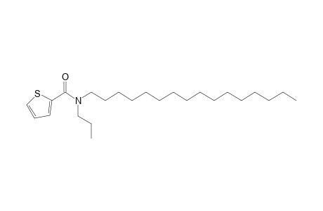 Thiophene-2-carboxamide, N-propyl-N-hexadecyl-