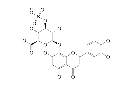THEOGRANDIN-II;HYPOLAETIN-8-O-BETA-D-GLUCURONOPYRANOSIDE-3''-O-SULFATE