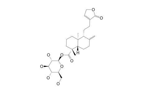BETA-D-GLUCOPYRANOSYL-8-(17),13-ENT-LABDADIEN-16,15-OLID-18-OATE