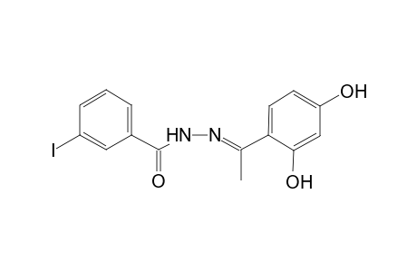 N'-[(E)-1-(2,4-Dihydroxyphenyl)ethylidene]-3-iodobenzohydrazide