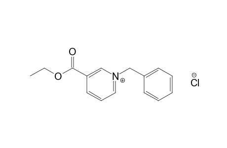 1-benzyl-3-carboxypyridinium chloride, ethyl ester