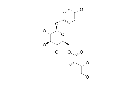 4-HYDROXYPHENYL-6-O-[(3R)-3,4-DIHYDROXY-2-METHYLENEBUTANOYL]-BETA-D-GLUCOPYRANOSIDE