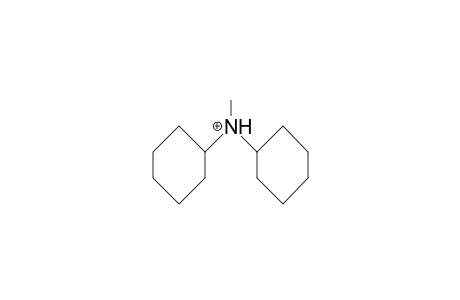 N-Cyclohexyl-N-methyl-cyclohexylammonium cation