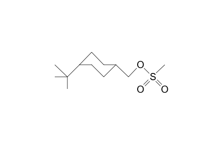 cis-4-tert-Butyl-cyclohexanemethanol methanesulfonate