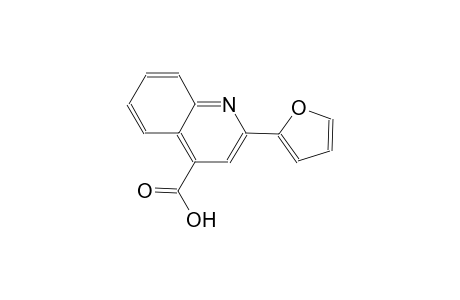 2-(2-furyl)-4-quinolinecarboxylic acid