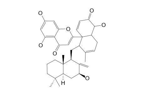 DICHROSTACHINE_P