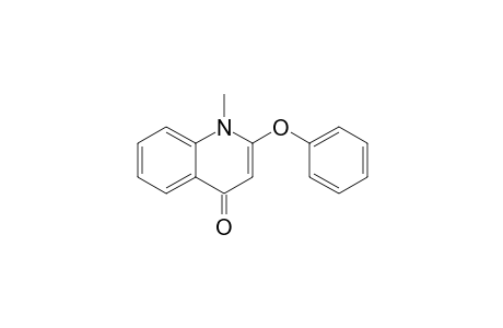 HEPTAPHYLLONE-A;N-METHYL-2-PHENOXY-QUINOLIN-4(1H)-ONE