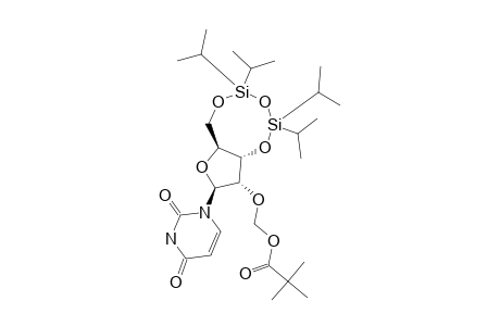 2'-O-PIVALOYLOXYMETHYL-3',5'-O-(TETRAISOPROPYLDISILOXANE-1,3-DIYL)-URIDINE