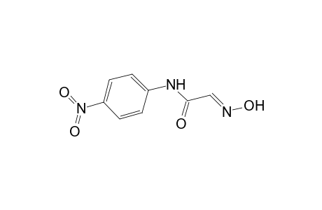 (2E)-2-hydroximino-N-(4-nitrophenyl)acetamide