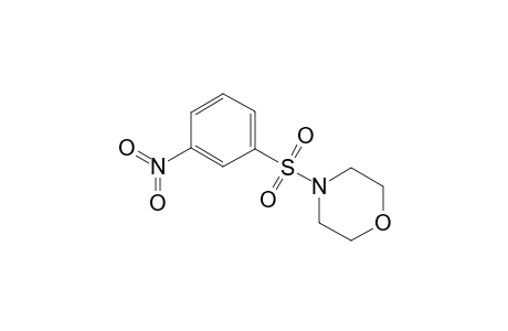 4-(3-Nitro-benzenesulfonyl)-morpholine