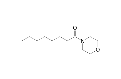 4-Octanoylmorpholine