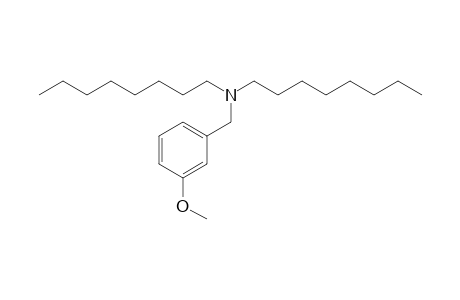 3-Methoxybenzylamine, N,N-dioctyl-