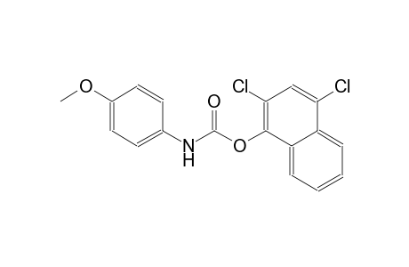 2,4-dichloro-1-naphthyl 4-methoxyphenylcarbamate