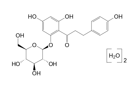 Phlorizin dihydrate (from Apple Wood)