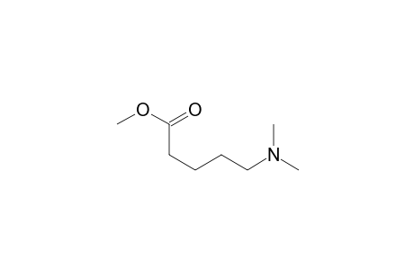 Methyl 5-(dimethylamino)pentanoate