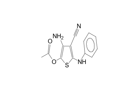 2-anilino-3-cyano-4-amino-5-acetoxythiophene