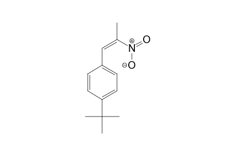 1-(4-tert-Butylphenyl)-2-nitroprop-1-ene