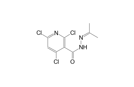 3-pyridinecarboxylic acid, 2,4,6-trichloro-, 2-(1-methylethylidene)hydrazide