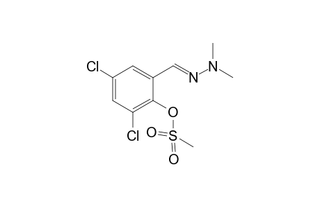 Benzaldehyde, 3,5-dichloro-2-methylsulfonyloxy-, 2,2-dimethylhydrazone