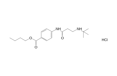 p-[(3-tert-butylamino)propionamido]benzoic acid, butyl ester, hydrochloride