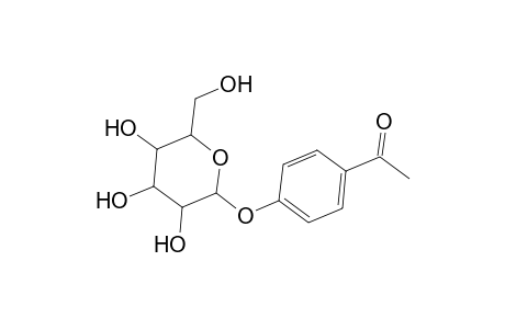 Ethanone, 1-[4-(.beta.-D-glucopyranosyloxy)phenyl]-