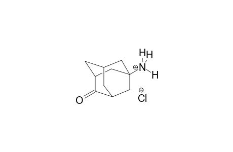 4-oxo-1-adamantanaminium chloride
