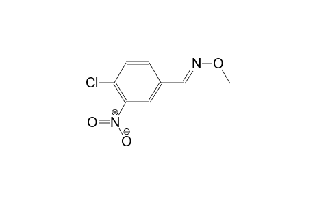 benzaldehyde, 4-chloro-3-nitro-, O-methyloxime