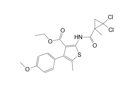 ethyl 2-{[(2,2-dichloro-1-methylcyclopropyl)carbonyl]amino}-4-(4-methoxyphenyl)-5-methyl-3-thiophenecarboxylate