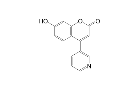 7-Hydroxy-4-(3-pyridyl)coumarin