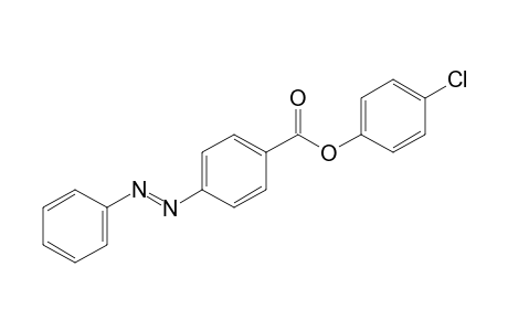 p-phenylazobenzoic acid, p-chlorophenyl ester
