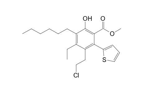 Methyl 5-(2'-chloroethyl)-3-hexyl-4-ethyl-2-hydroxy-6-(2'-thienyl)-benzoate