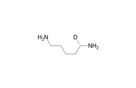 1,5-Pentane-1-d-diamine, (S)-