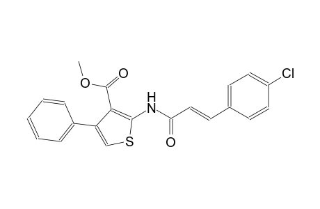 methyl 2-{[(2E)-3-(4-chlorophenyl)-2-propenoyl]amino}-4-phenyl-3-thiophenecarboxylate